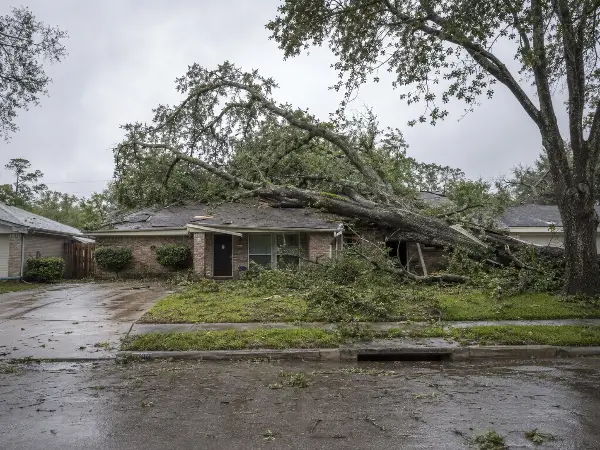 Árbol caído sobre una casa en Houston, ejemplo de daño repentino que sí cubre el seguro
