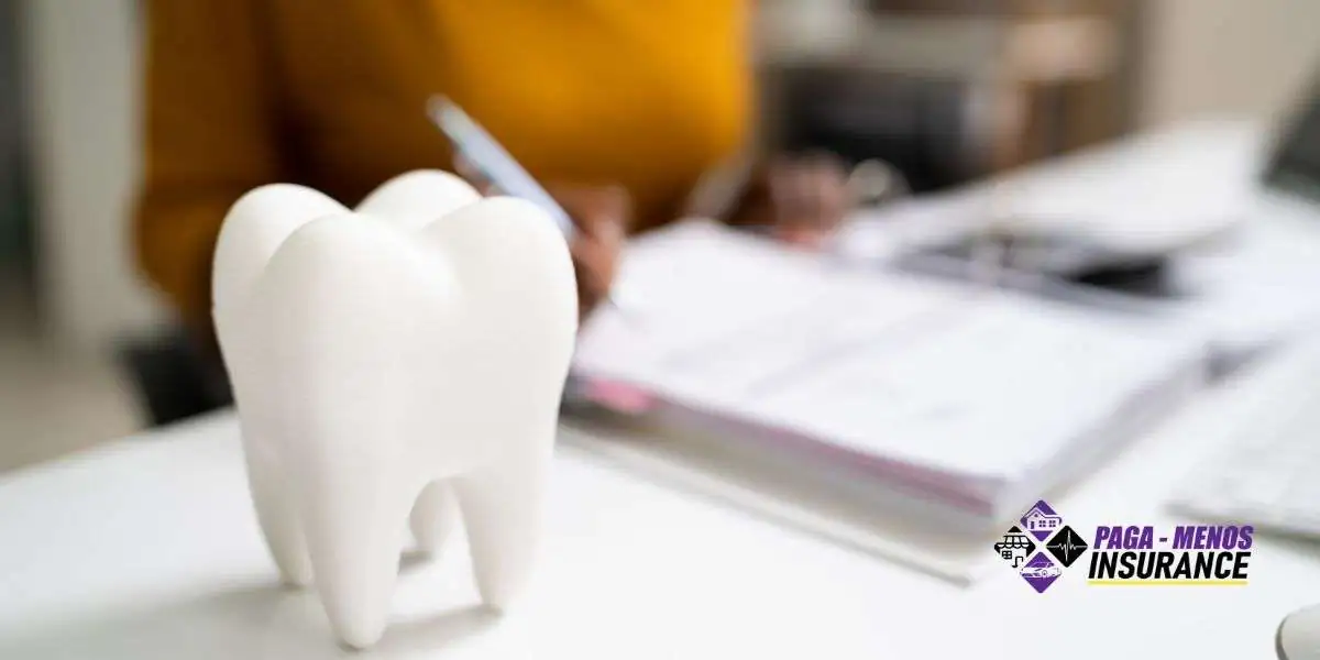 How to Choose Small Business Insurance