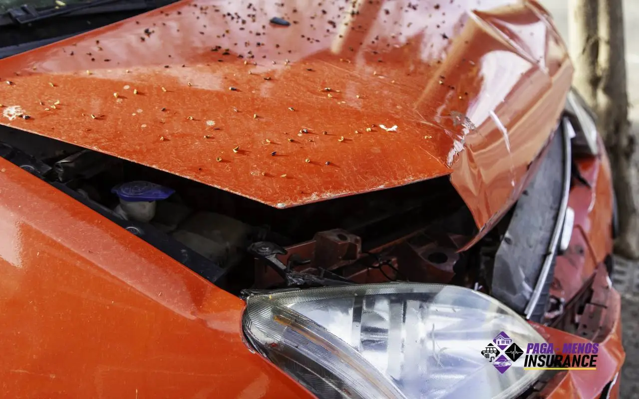 Cobertura contra daños por clima: revisión estacional